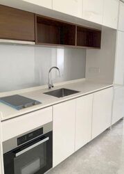 Fourth Avenue Residences (D10), Apartment #569370621